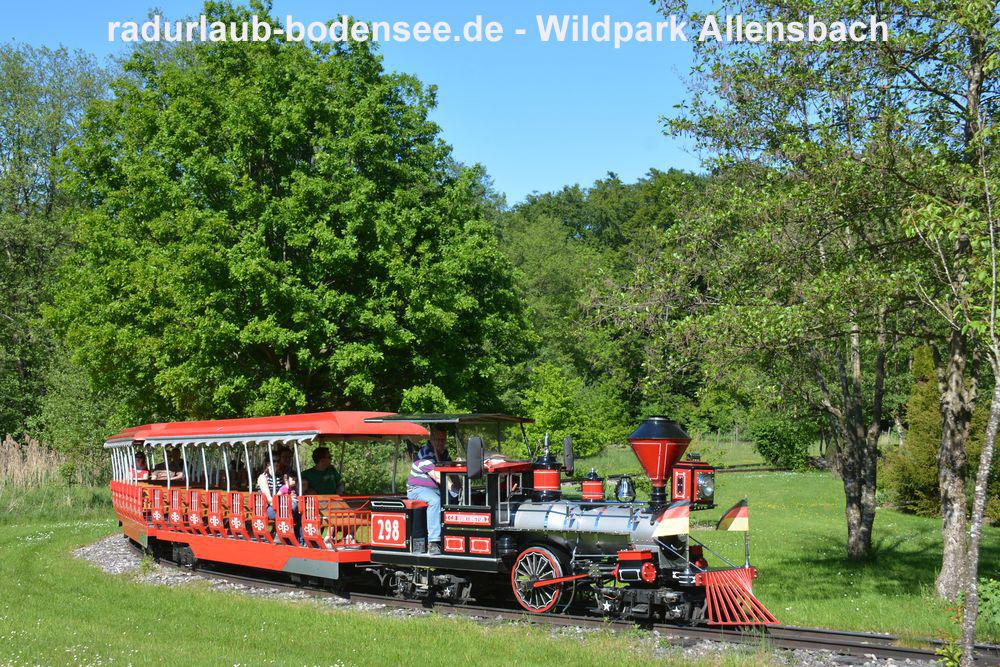 Wildpark Allensbach - Westernbahn