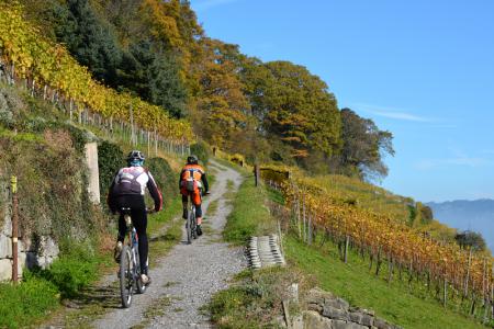 Trails am See: Singletrail-Wochenende am Bodensee